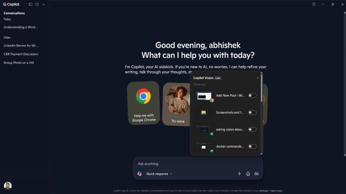 Windows 11中的Copilot Vision