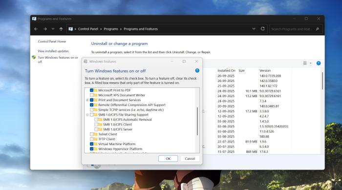 smb optional feature windows